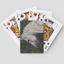 Grauer Hengst blickt in die Ferne