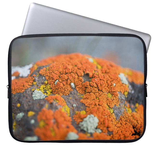 Grauer Lichen-Orange-Moosstein Laptopschutzhülle (Vorderseite)
