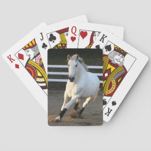 Grauer Lusitano bei Liberty Playing Cards Spielkarten