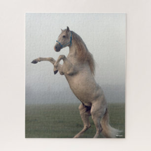 Grauer Lusitano-Hengst in Nebel Puzzle