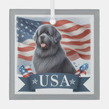 Grauer patriotischer Neufundländer-Hund im Quadrat