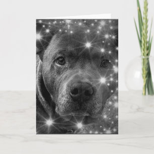 Grauer Pitbull Terrier mit Glitzer Hundeliebhaber Karte