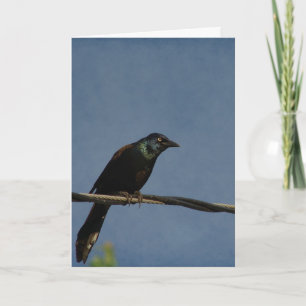 Grauer Power, glücklich zum Geburtstag Karte