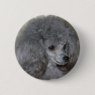 Grauer Pudel-Knopf Button