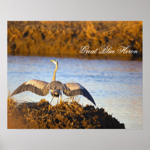 Grauer Reiher breitet Flügel Poster