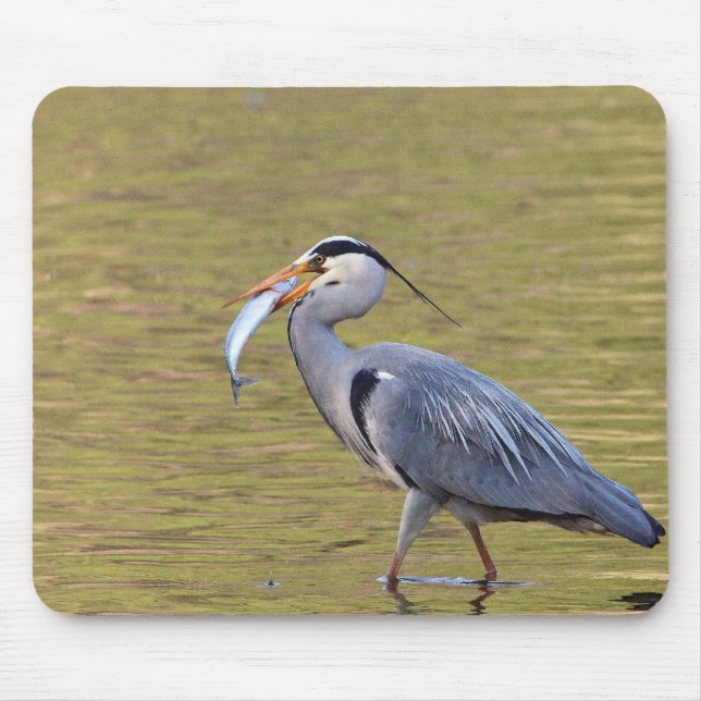 Grauer Reiher Mousepad (Vorne)