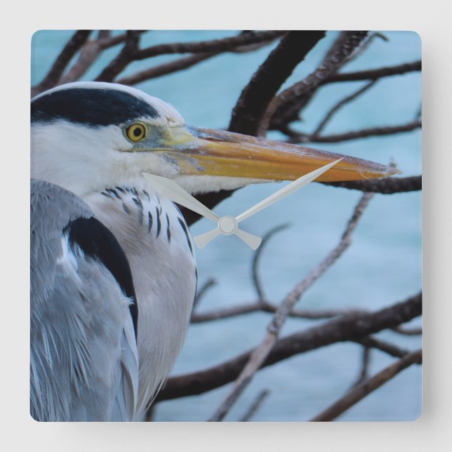 Grauer Reiher Quadratische Wanduhr (Vorderseite)