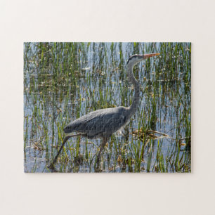 Grauer Reiher watet durch Sumpf-Wildnis Puzzle