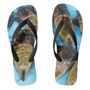 Grauer Riesenwasserbug (Maeng Daa) ... asiatisches Flip Flops