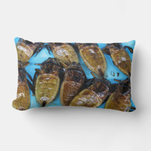 Grauer Riesenwasserbug (Maeng Daa) ... asiatisches Lendenkissen