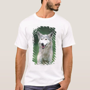 Grauer Wolf 2 T-Shirt