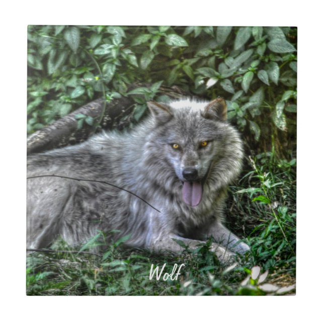 Grauer Wolf 3 Wildlife-Geschenk Fliese (Vorderseite)