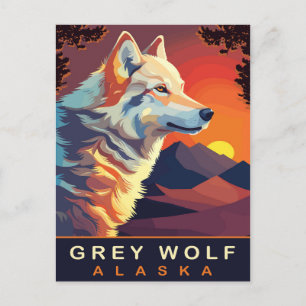 Grauer Wolf, Alaska, Sonnenuntergang über den Berg Postkarte