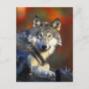 Grauer Wolf, Arten-Digitalfotografie Postkarte