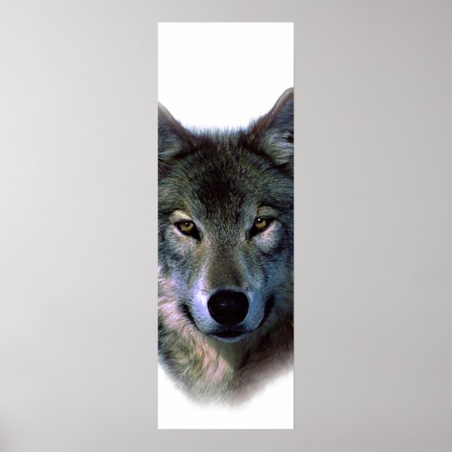 Grauer Wolf Augen Motivierend Door Poster (Vorne)