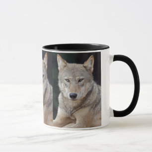 Grauer Wolf Becher Tasse