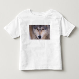 Grauer Wolf, Canis lupus, Nahaufnahme der Augen Kleinkind T-shirt