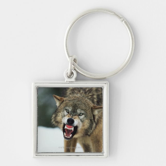 Grauer Wolf der Verwirrung Schlüsselanhänger (Vorne)
