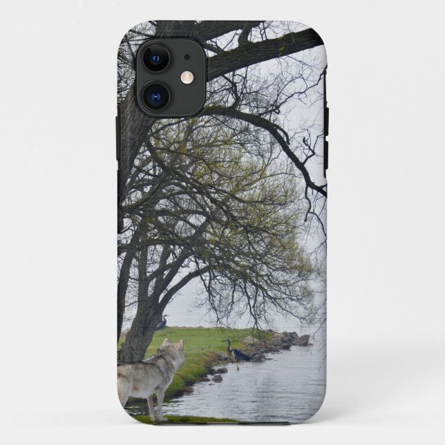 Grauer Wolf & Herons von Lake Wildlife iPhone 5 Fa Case-Mate iPhone Hülle (Rückseite)