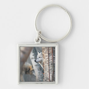 Grauer Wolf hinter Baum Schlüsselanhänger