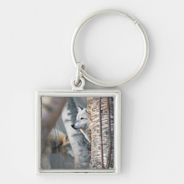 Grauer Wolf hinter Baum Schlüsselanhänger (Vorne)