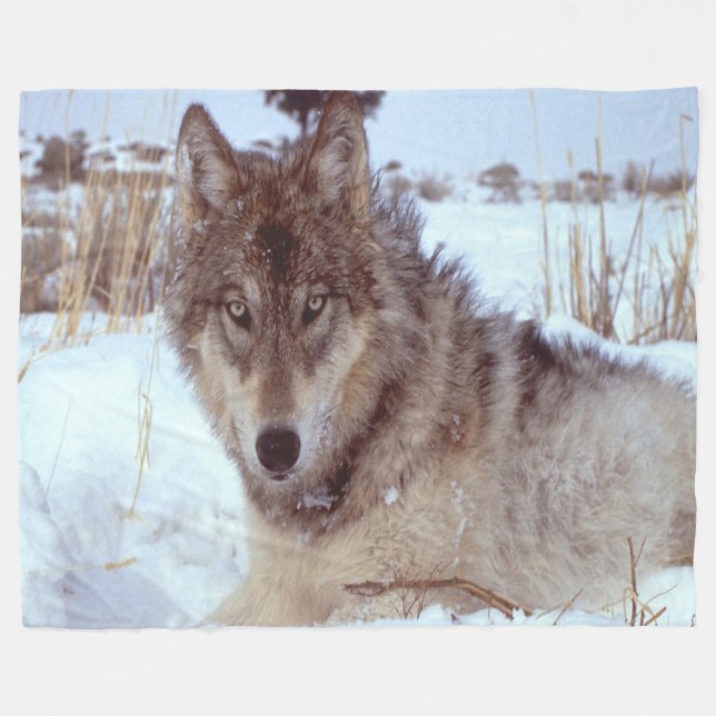 Grauer Wolf im Winter Fleecedecke (Vorderseite (Horizontal))