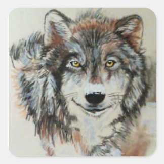 Grauer Wolf in Schneeklebern Quadratischer Aufkleber