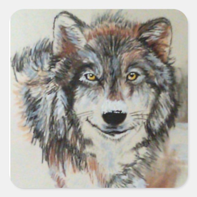 Grauer Wolf in Schneeklebern Quadratischer Aufkleber (Vorderseite)