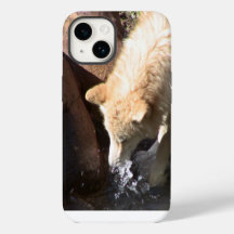 Grauer Wolf Iphone-Hülle