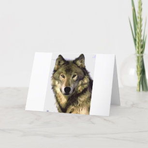 Grauer Wolf Karte