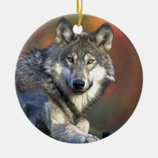 Grauer Wolf Keramikornament