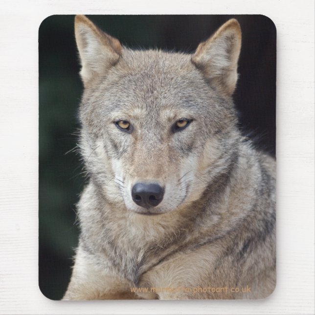 Grauer Wolf-Mauspad Mousepad (Vorne)