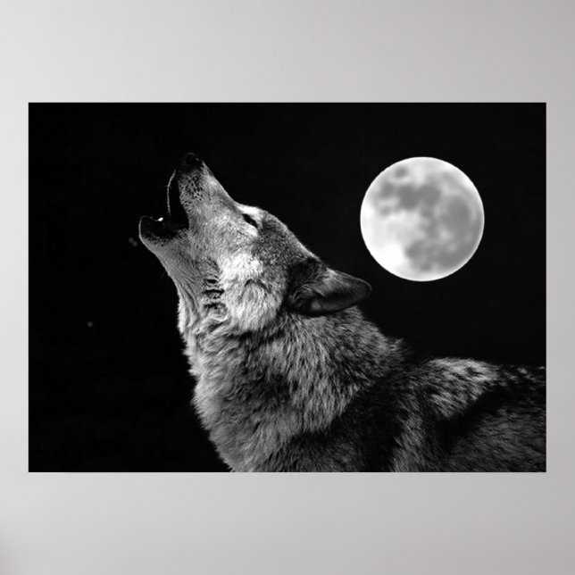 Grauer Wolf & Mond Poster Druck (Vorne)