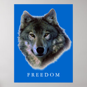 Grauer Wolf Motivierend Freedom Poster Print