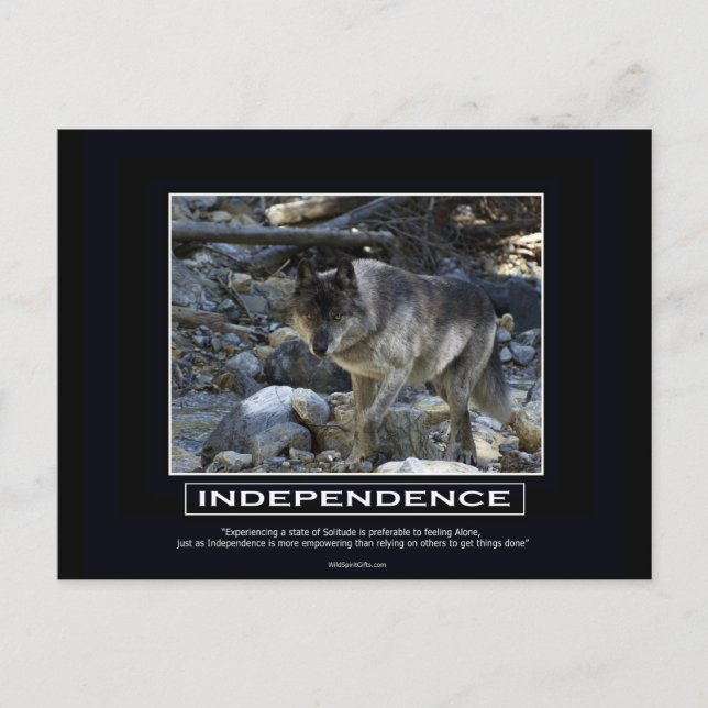Grauer Wolf Motivierend Geschenke Postkarte (Vorderseite)