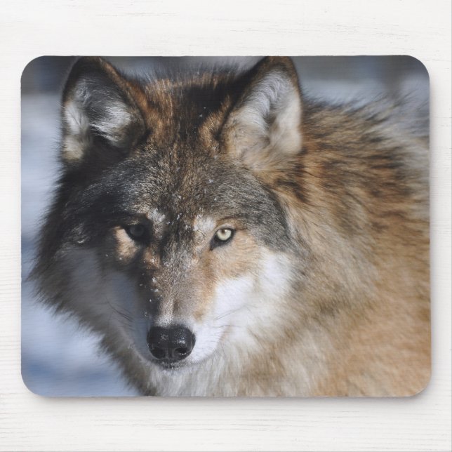 Grauer Wolf Mousepad (Vorne)