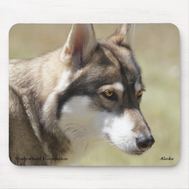 Grauer Wolf Mousepad (Vorne)