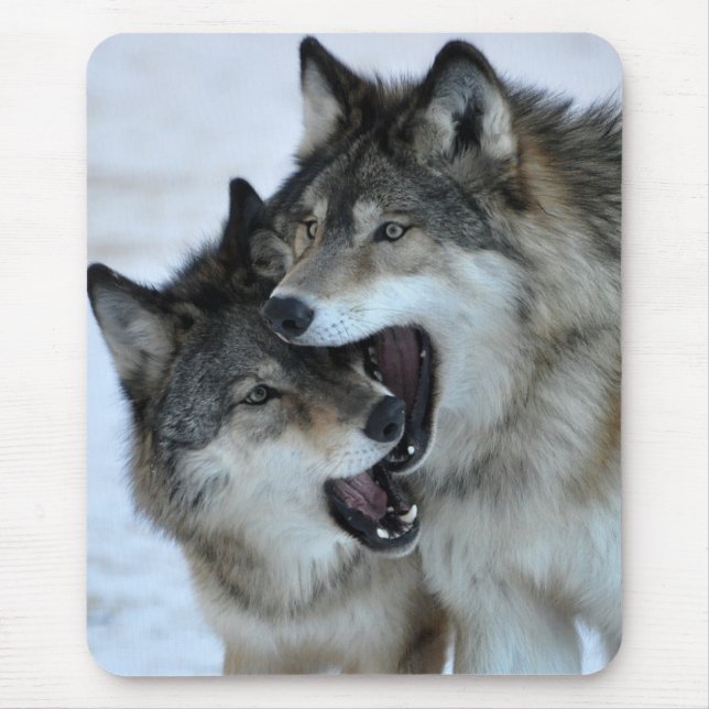 Grauer Wolf Mousepad (Vorne)