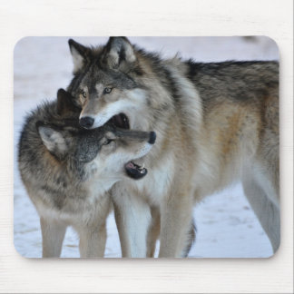 Grauer Wolf Mousepad