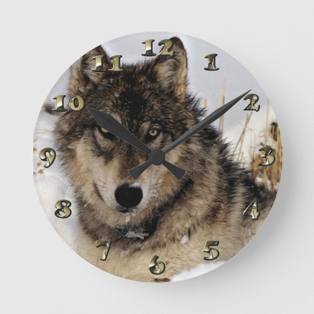 Grauer Wolf oder Timberwolf, die in den Schnee Runde Wanduhr (Vorderseite)