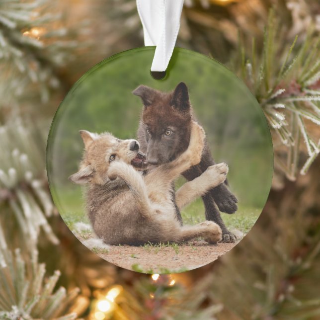 Grauer Wolf Pups Wrestling Ornament (Baum)