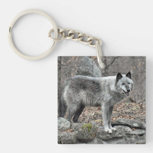 Grauer Wolf Schlüsselanhänger