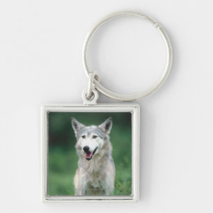 Grauer Wolf Schlüsselanhänger