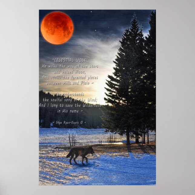 Grauer Wolf, Schnee, Blütenmond & Lake w Wolf Gedi Poster (Vorne)