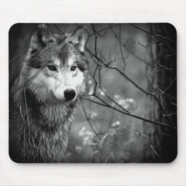 Grauer Wolf - Schwarzweiss Mousepad (Vorne)
