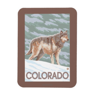 Grauer Wolf StandingColorado Magnet