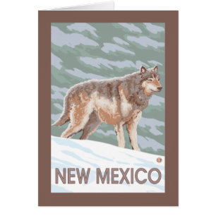 Grauer Wolf StandingNew Mexiko