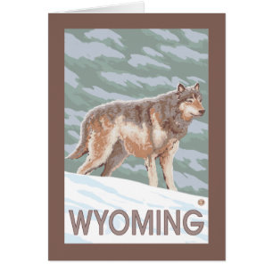 Grauer Wolf StandingWyoming