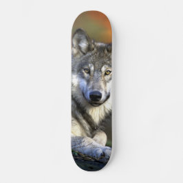 Grauer Wolf - Timberwolf - roter Wolf-Reihe Skateboard