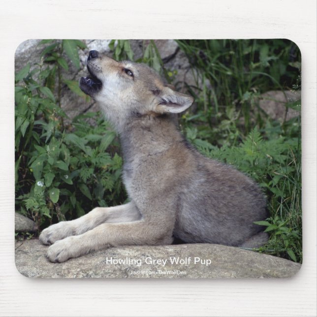 Grauer Wolf Wildlife-Unterstützer Tierfotografie Mousepad (Vorne)